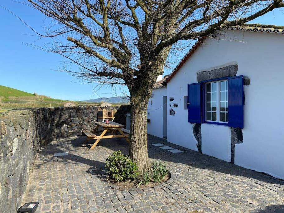 Vacas Felizes Villas - Casa Da Bilha Rabo de Peixe Eksteriør bilde